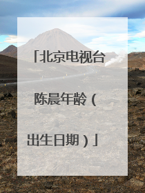 北京电视台 陈晨年龄(出生日期)