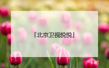 北京卫视悦悦