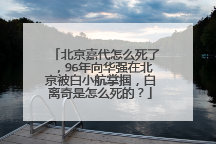 北京嘉代怎么死了，96年向华强在北京被白小航掌掴，白离奇是怎么死的？