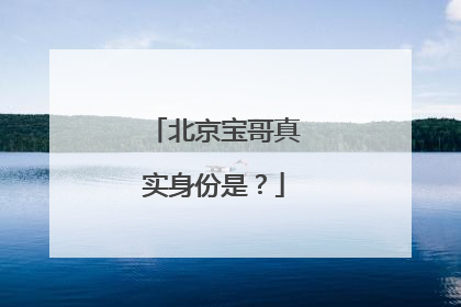 北京宝哥真实身份是？