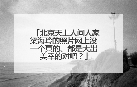北京天上人间人家梁海玲的照片网上没一个真的、都是大出美幸的对吧？
