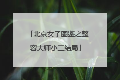 北京女子图鉴之整容大师小三结局