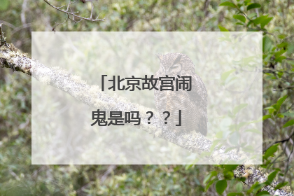 北京故宫闹鬼是吗??