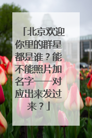 北京欢迎你里的群星都是谁?能不能照片加名字一一对应出来发过来?