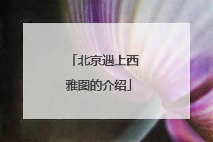 北京遇上西雅图的介绍