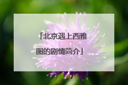 北京遇上西雅图的剧情简介