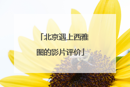 北京遇上西雅图的影片评价