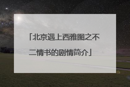 北京遇上西雅图之不二情书的剧情简介