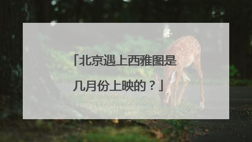 北京遇上西雅图是几月份上映的?