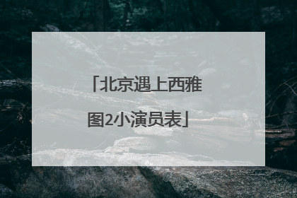 北京遇上西雅图2小演员表