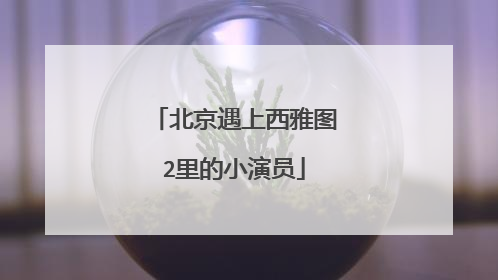 北京遇上西雅图2里的小演员