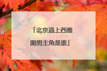 北京遇上西雅图男主角是谁
