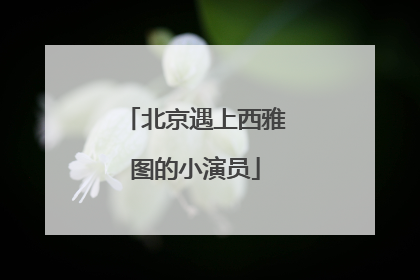 北京遇上西雅图的小演员