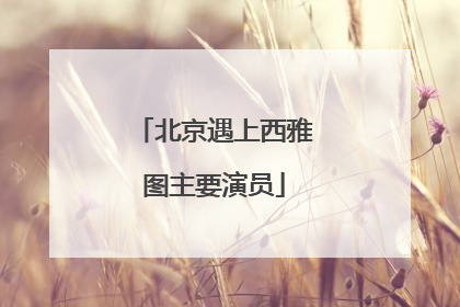 北京遇上西雅图主要演员