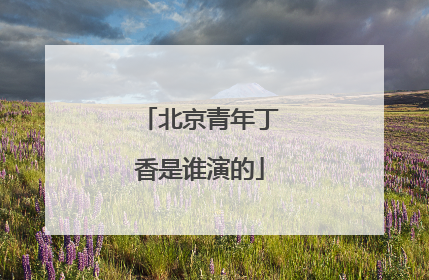 北京青年丁香是谁演的