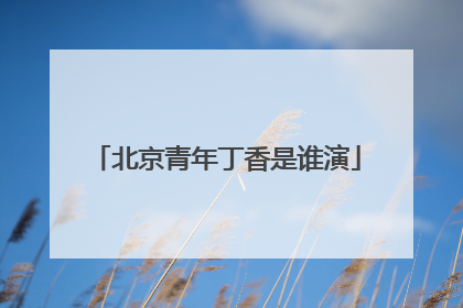 北京青年丁香是谁演