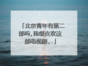 北京青年有第二部吗,我很喜欢这部电视剧,.