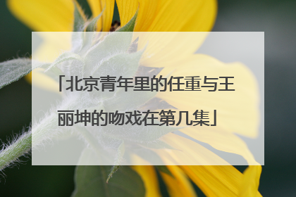 北京青年里的任重与王丽坤的吻戏在第几集
