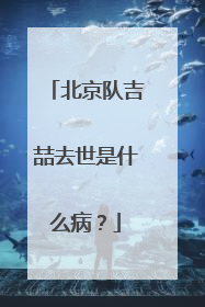 北京队吉喆去世是什么病？