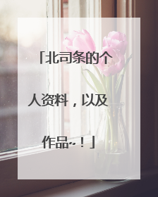 北司条的个人资料,以及作品~!