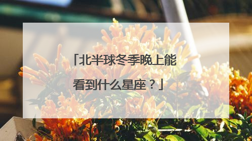 北半球冬季晚上能看到什么星座?