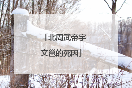 北周武帝宇文邕的死因