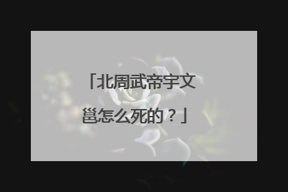 北周武帝宇文邕怎么死的?