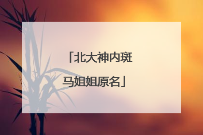 北大神内斑马姐姐原名