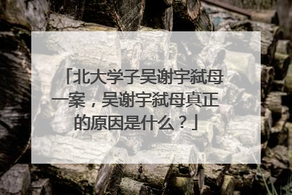 北大学子吴谢宇弑母一案，吴谢宇弑母真正的原因是什么？