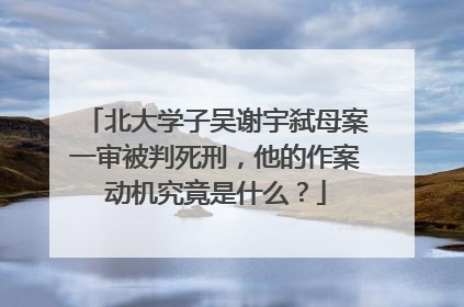 北大学子吴谢宇弑母案一审被判死刑，他的作案动机究竟是什么？