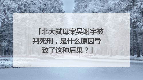 北大弑母案吴谢宇被判死刑,是什么原因导致了这种后果?