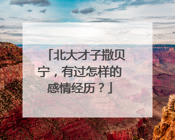 北大才子撒贝宁,有过怎样的感情经历?