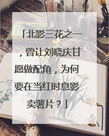 北影三花之一，曾让刘晓庆甘愿做配角，为何要在当红时息影卖薯片？