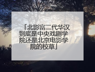 北影富二代华汉到底是中央戏剧学院还是北京电影学院的校草