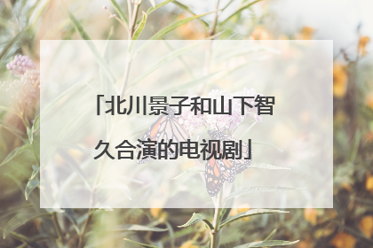 北川景子和山下智久合演的电视剧