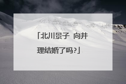 北川景子 向井理结婚了吗?