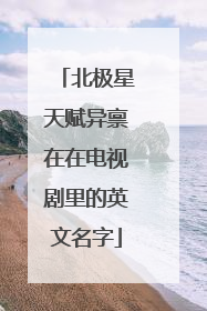 北极星天赋异禀在在电视剧里的英文名字