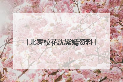 北舞校花沈紫嫣资料