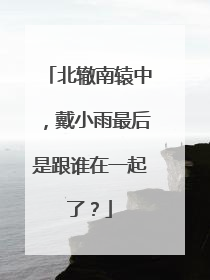 北辙南辕中，戴小雨最后是跟谁在一起了？