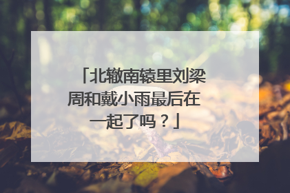 北辙南辕里刘梁周和戴小雨最后在一起了吗？
