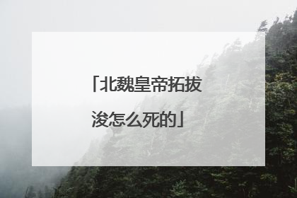 北魏皇帝拓拔浚怎么死的