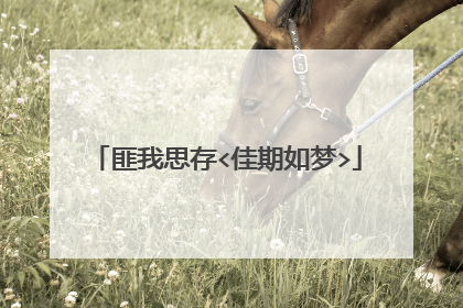 匪我思存<佳期如梦>