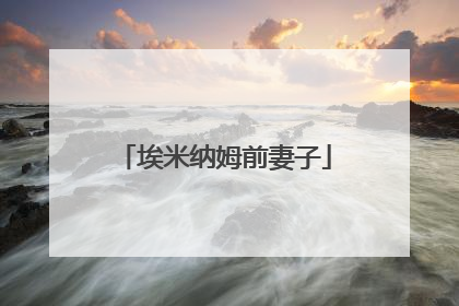 埃米纳姆前妻子