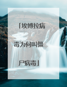 埃博拉病毒为何叫僵尸病毒