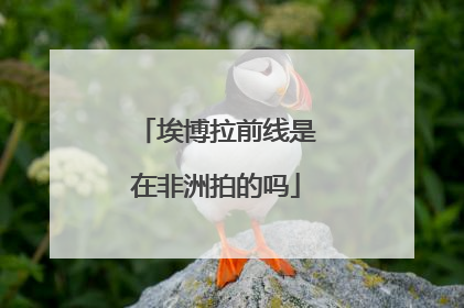 埃博拉前线是在非洲拍的吗