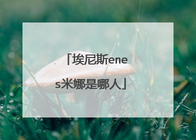 埃尼斯enes米娜是哪人