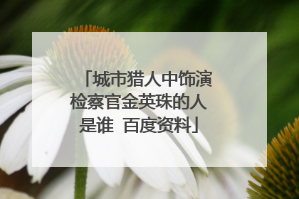 城市猎人中饰演检察官金英珠的人是谁 百度资料
