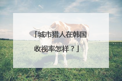 城市猎人在韩国收视率怎样?