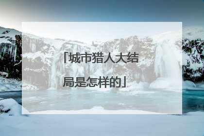 城市猎人大结局是怎样的