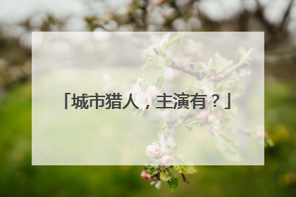 城市猎人,主演有?